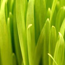 ddos攻击器安卓ios下载